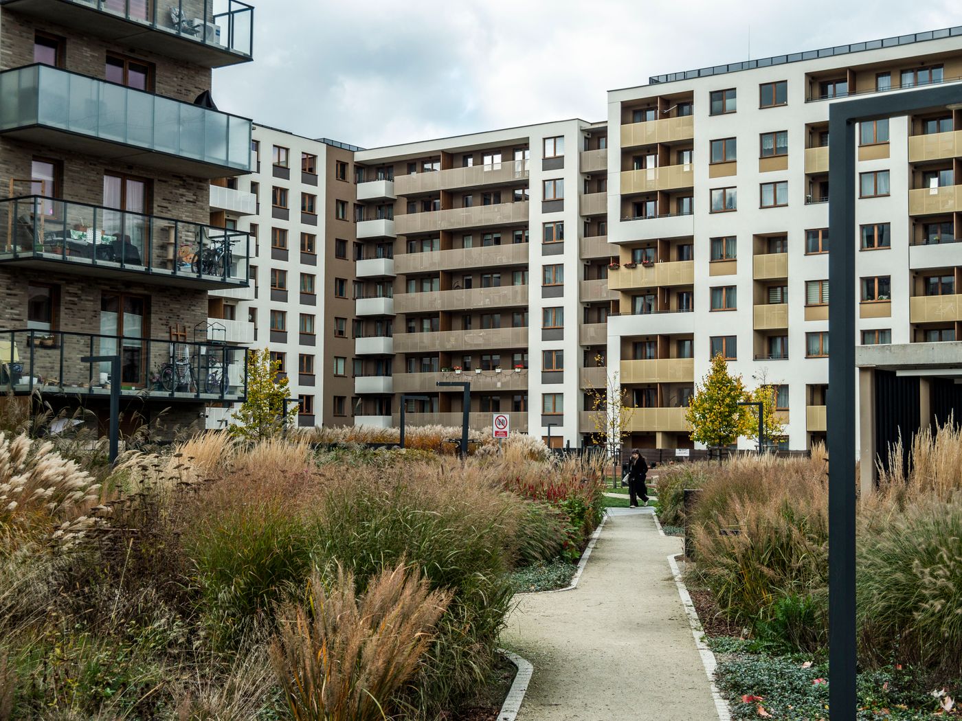 Cœur d’îlot d’un ensemble de logements : prairie de graminées d’automne traversée par une allée