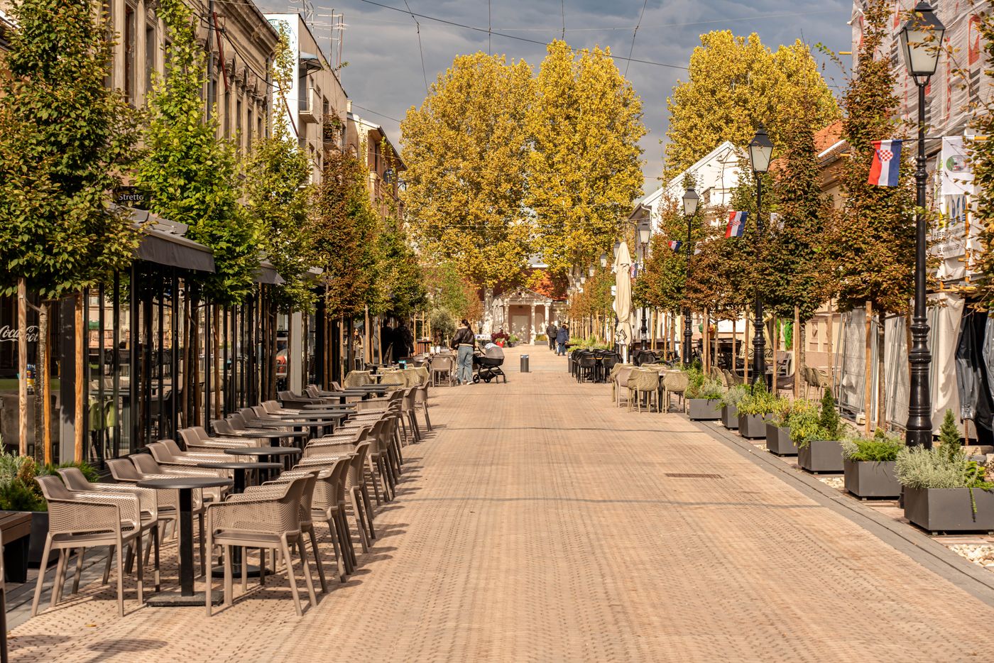 Rue piétonne en automne : pavés clairs, alignements d’arbres, jardinières plantées et terrasses de café